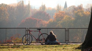 Grüne Pfade - Rabeninsel