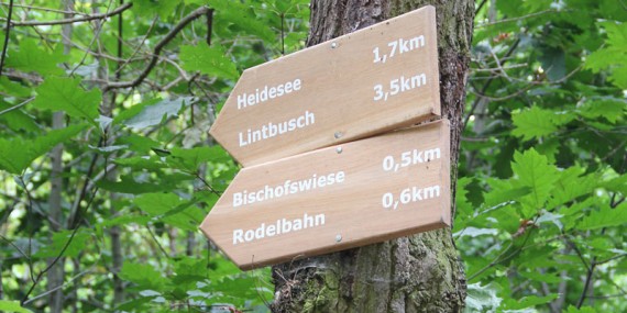 fackelwanderung-01